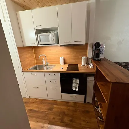 아파트 4 6 Pers Les 2 Alpes 레두잘프