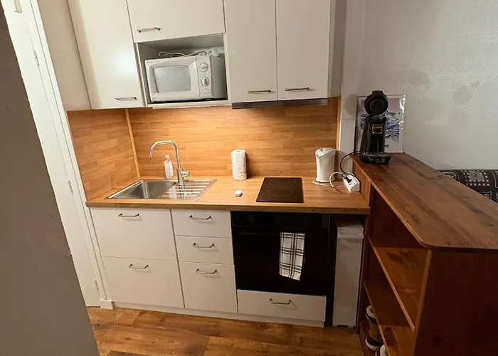 Апартаменты 4 6 Pers Les 2 Alpes Ле дез Альп